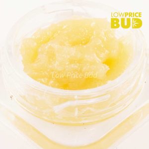 Caviar – Purple Kush Buy Caviar – Purple Kush online Canada
