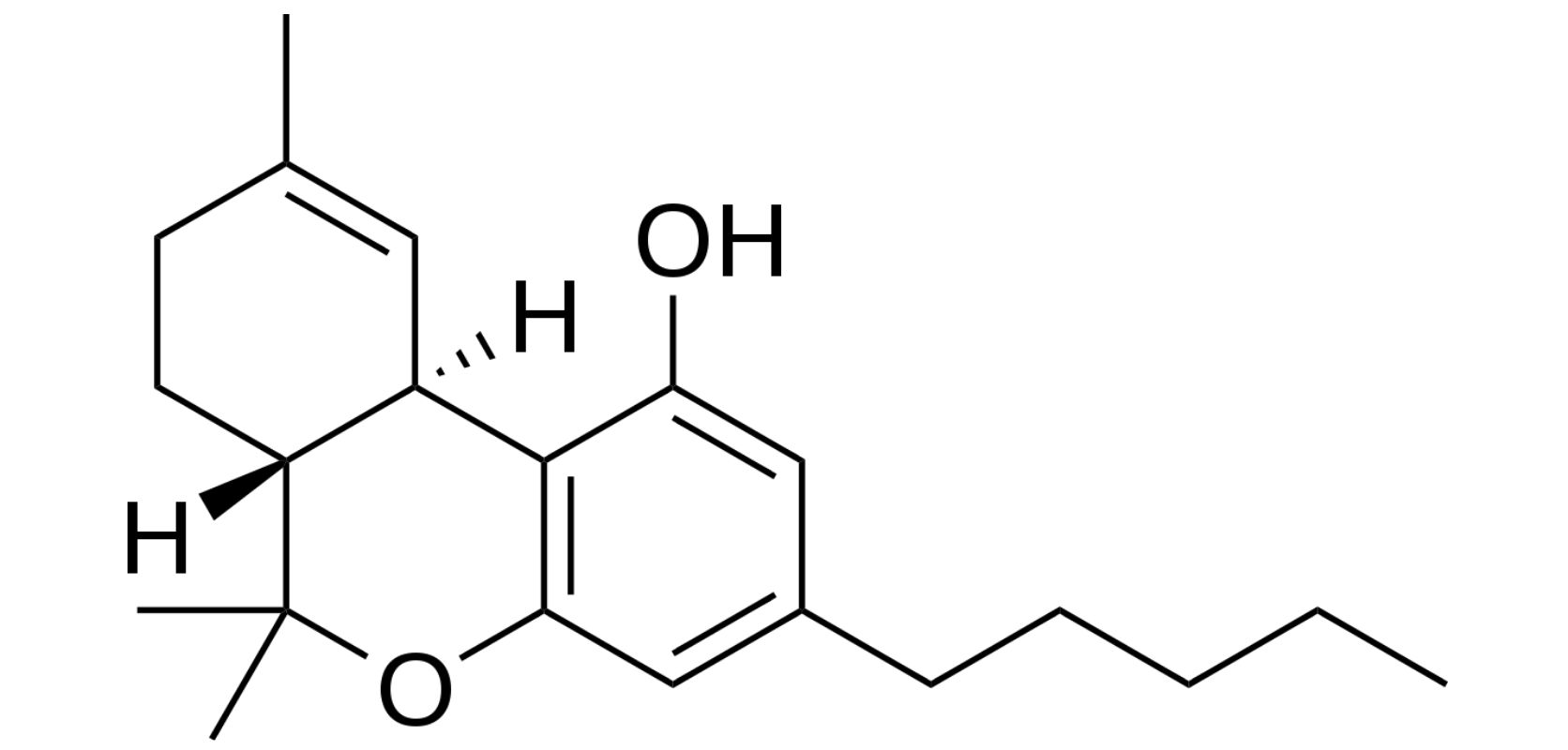 Short for tetrahydrocannabinol, THC is a chemical compound present in the marijuana plant. 