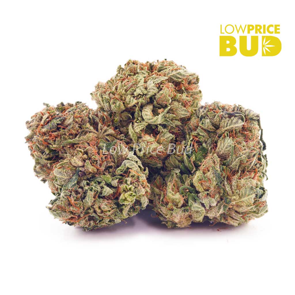 Chemdawg (AA) Buy Chemdawg (AA) online Canada