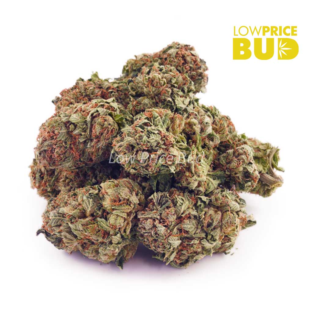 Chemdawg (AA) Buy Chemdawg (AA) online Canada