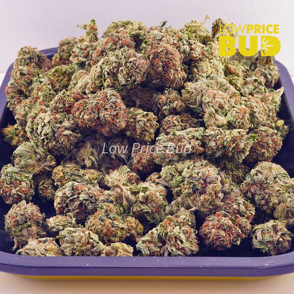 Chemdawg (AA) Buy Chemdawg (AA) online Canada