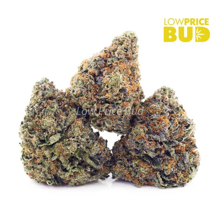 Jet Fuel Gelato (AA) Low Price Bud