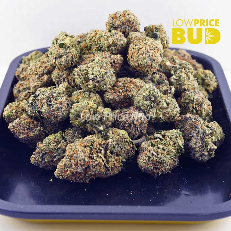 Jet Fuel Gelato (AA) Low Price Bud