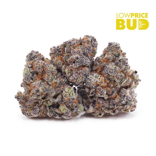 Buy Purple Space Cookies (Craft Cannabis) online Canada
