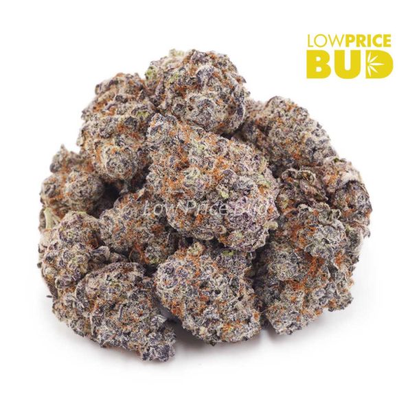 Buy Purple Space Cookies (Craft Cannabis) online Canada