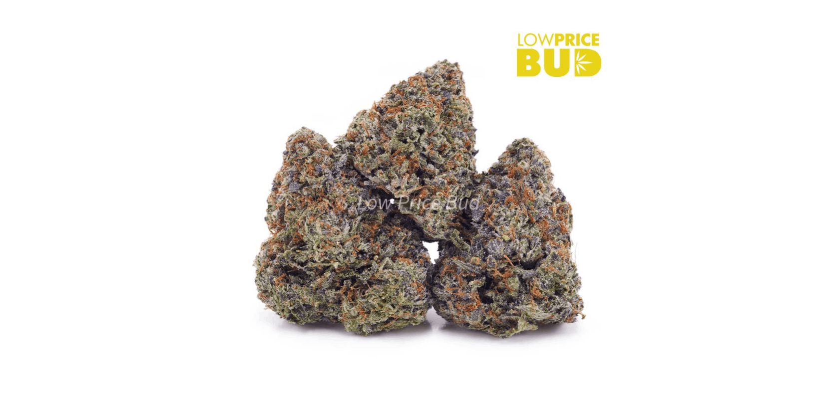 Get this AAAA-grade Death Bubba flower at our online dispensary and enjoy high-quality weed at a cheap price and free Canada-wide shipping for products above $150.