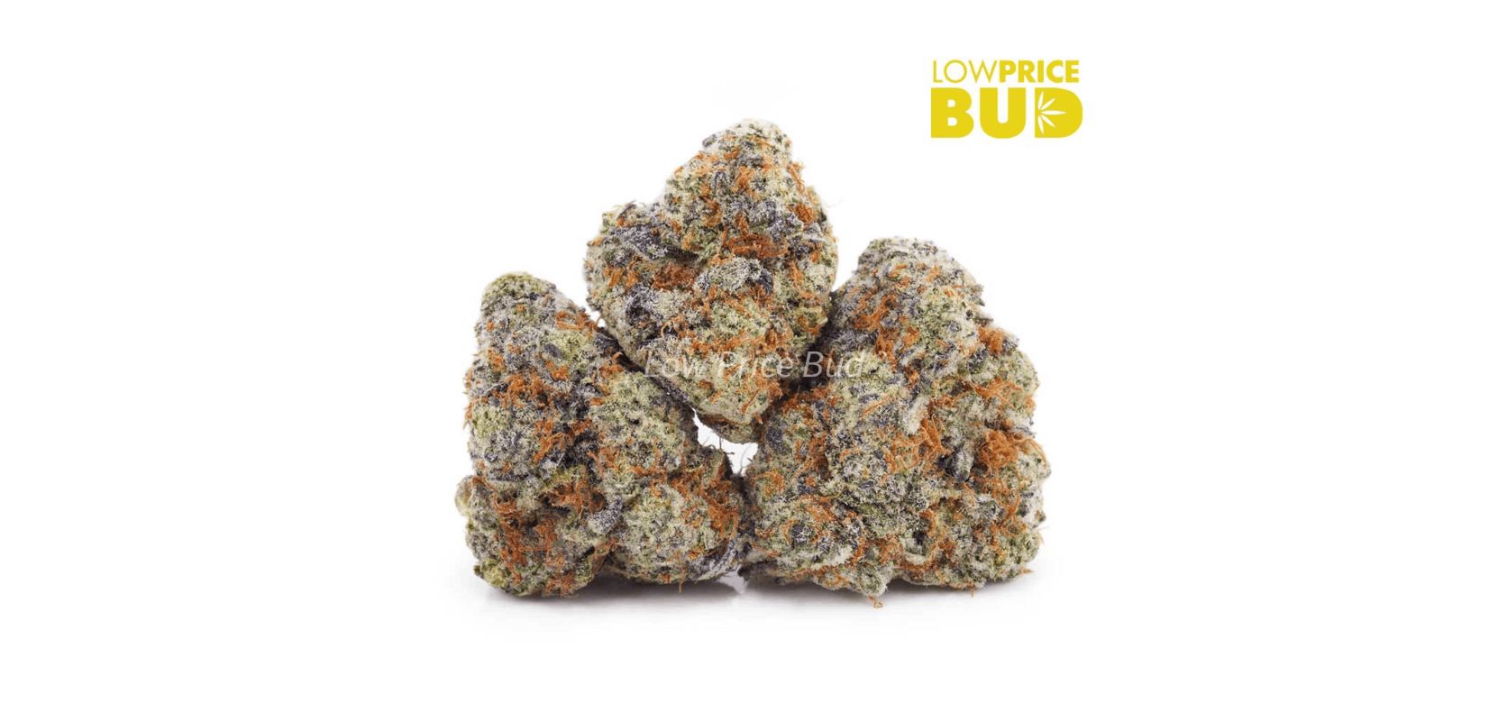 The Dragon's Breath (AAAA) is a potent and popular Sativa dominant strain that's beloved by many weed enthusiasts, especially people looking to alleviate symptoms of depression. 