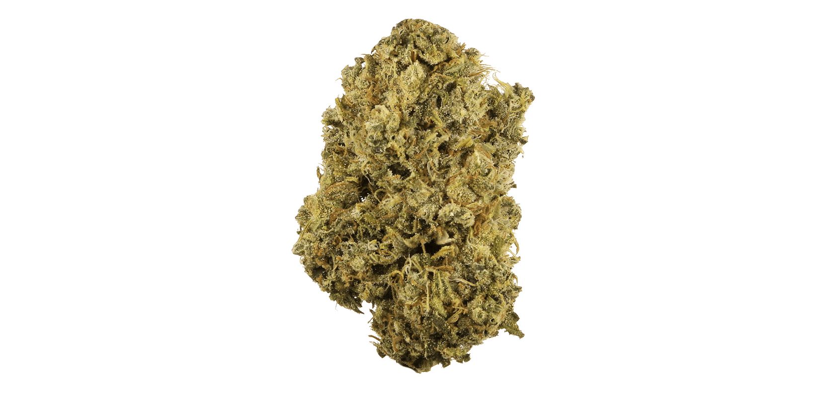 Durban Poison is a feminized pure sativa marijuana strain that has become many people’s favourite bud. If you’re looking for a strain you can smoke daily, Durban Poison is a strong contender. 