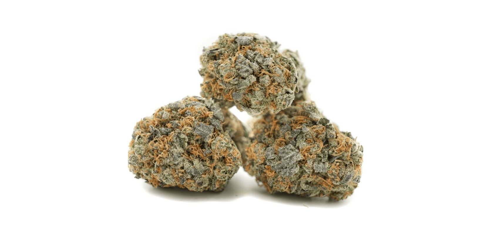 The Grease Monkey weed strain is for true canna connoisseurs. If you're a seasoned smoker who loves a good body buzz and some serious couch-lock action, then the Grease Monkey is ideal for you.
