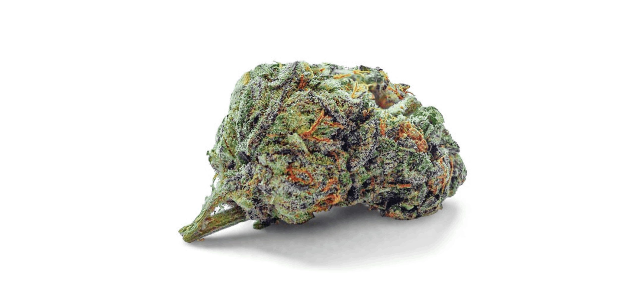 Fruity Pebbles is an almost evenly balanced hybrid that leans slightly on the Indica side, with a genetic makeup of 55 percent Indica and 45 percent Sativa. 