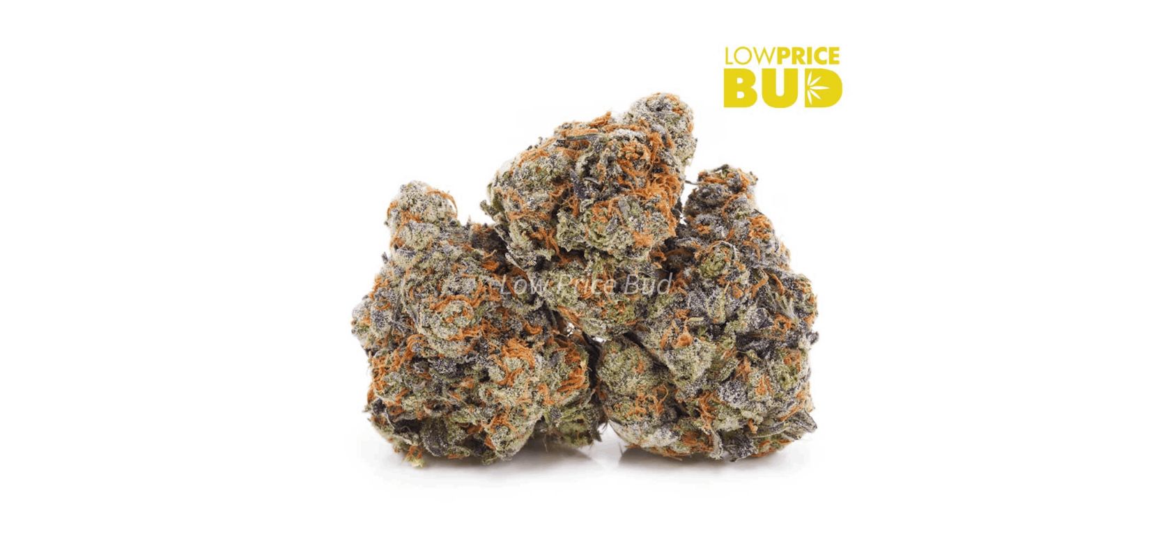 According to stoners, Funky Charms is an excellent alternative to the Grease Monkey strain if you're looking for a similar experience. 