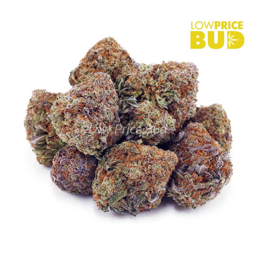 Peaches and Cream (AAA) Buy Peaches and Cream (AAA) online Canada