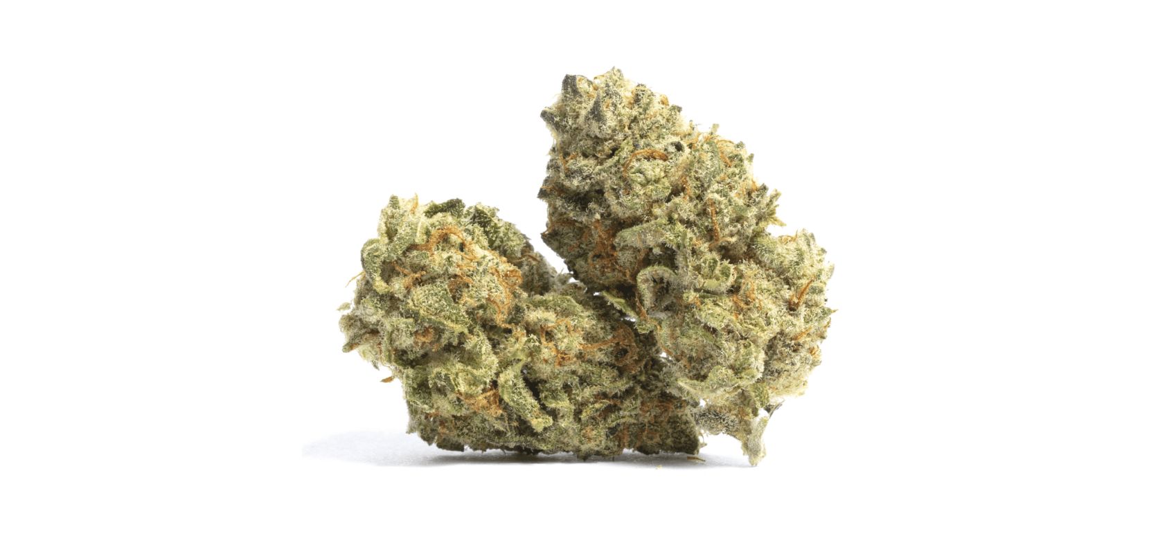 In this expert guide, we'll give you the lowdown on all the must-know facts about the Godfather OG strain. 