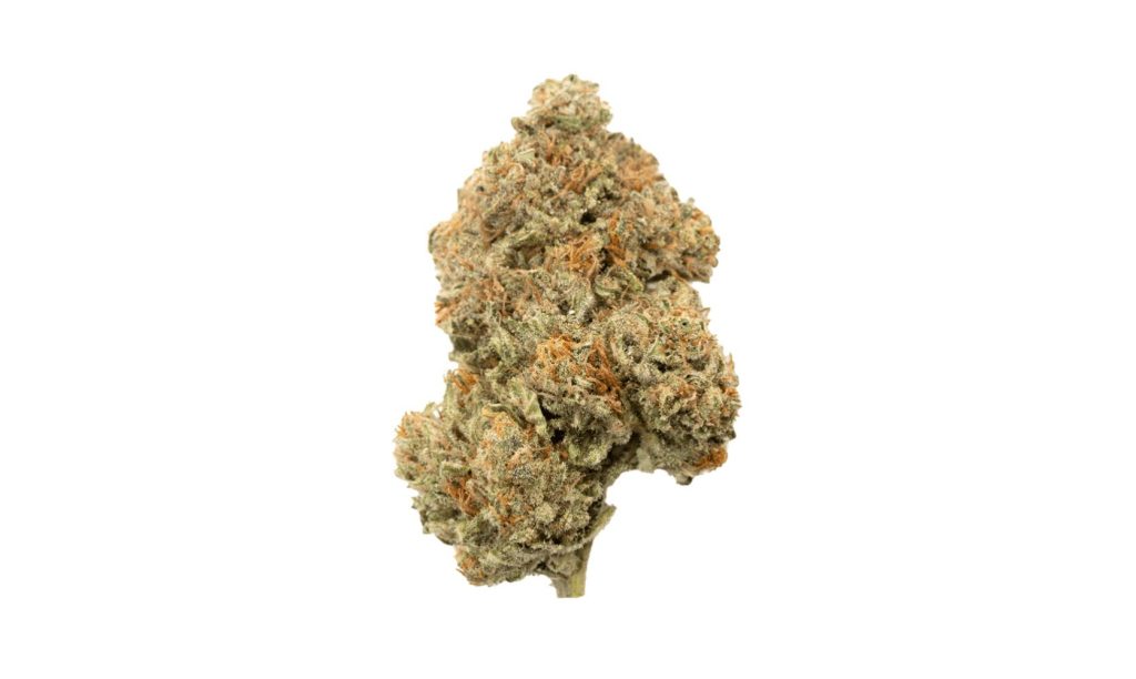 If you're on the hunt for a potent Indica strain that hits hard, the Grease Monkey strain might just be what you're looking for. 