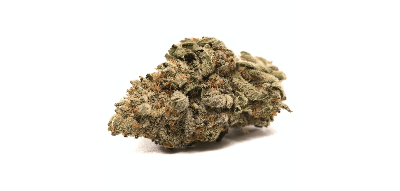 The Grease Monkey strain is a world-famous Indica hybrid with a lineage that includes two powerhouse strains, Cookies & Cream and Gorilla Glue #4. 
