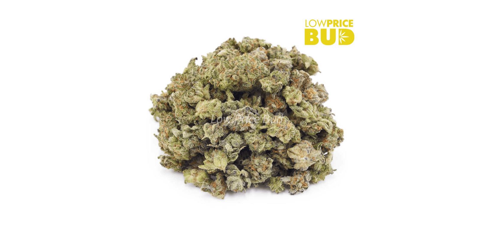 The Lemon Skunk (AAAA) – Popcorn Nugs is a Sativa dominant strain that is highly favored by stoners who are looking for an energizing and creativity-inducing experience. 