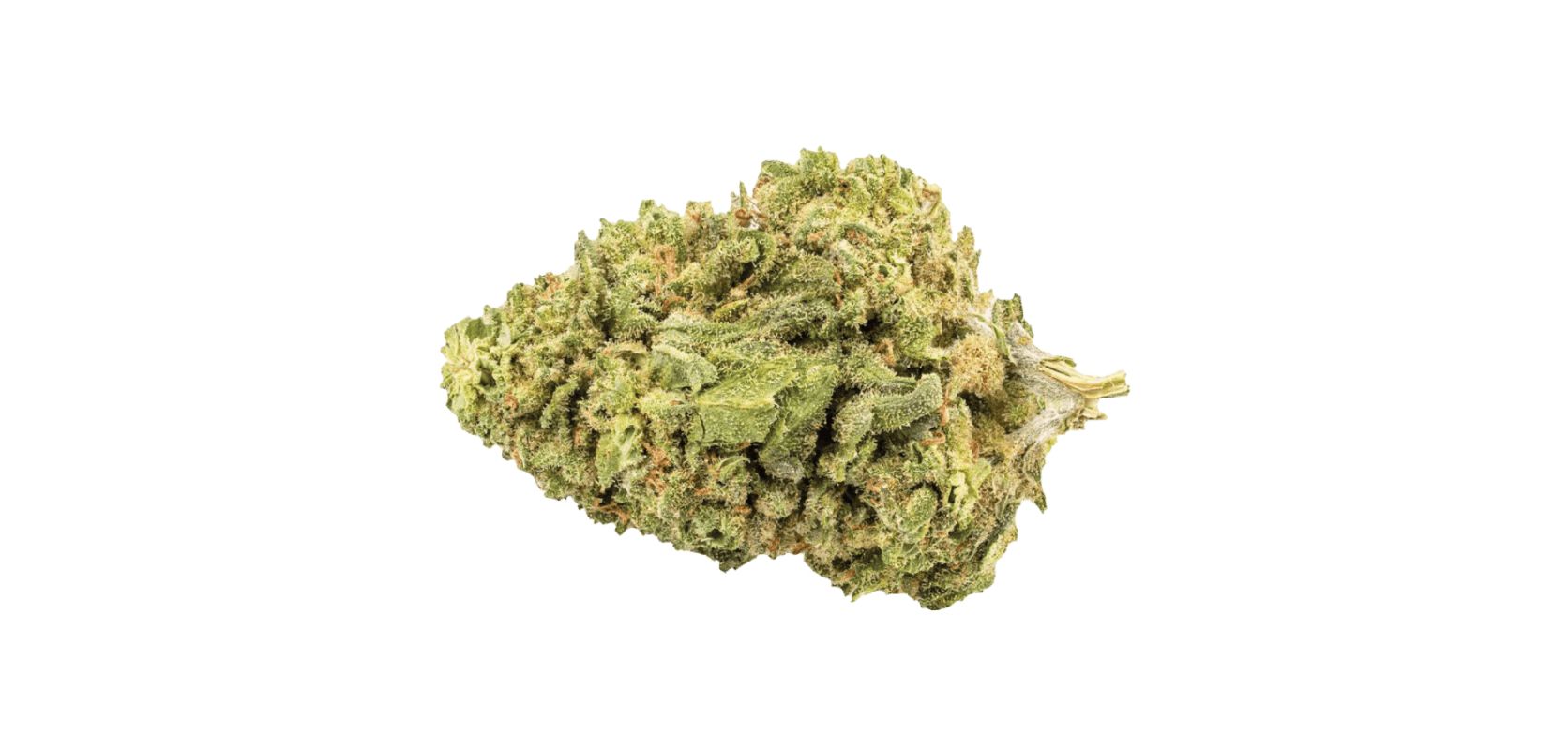 In short, Sativa weed strains are a type of marijuana plant known for their uplifting and energizing effects. 