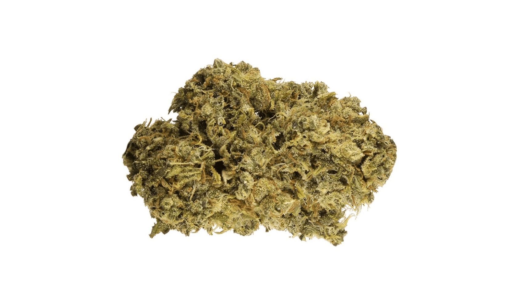 Purchase the best Sativa dominant strains today for cheap! Shop from Low Price Bud, your favourite online dispensary and take advantage of the highest-grade, tastiest, safest, and cheapest Sativa weed strains.