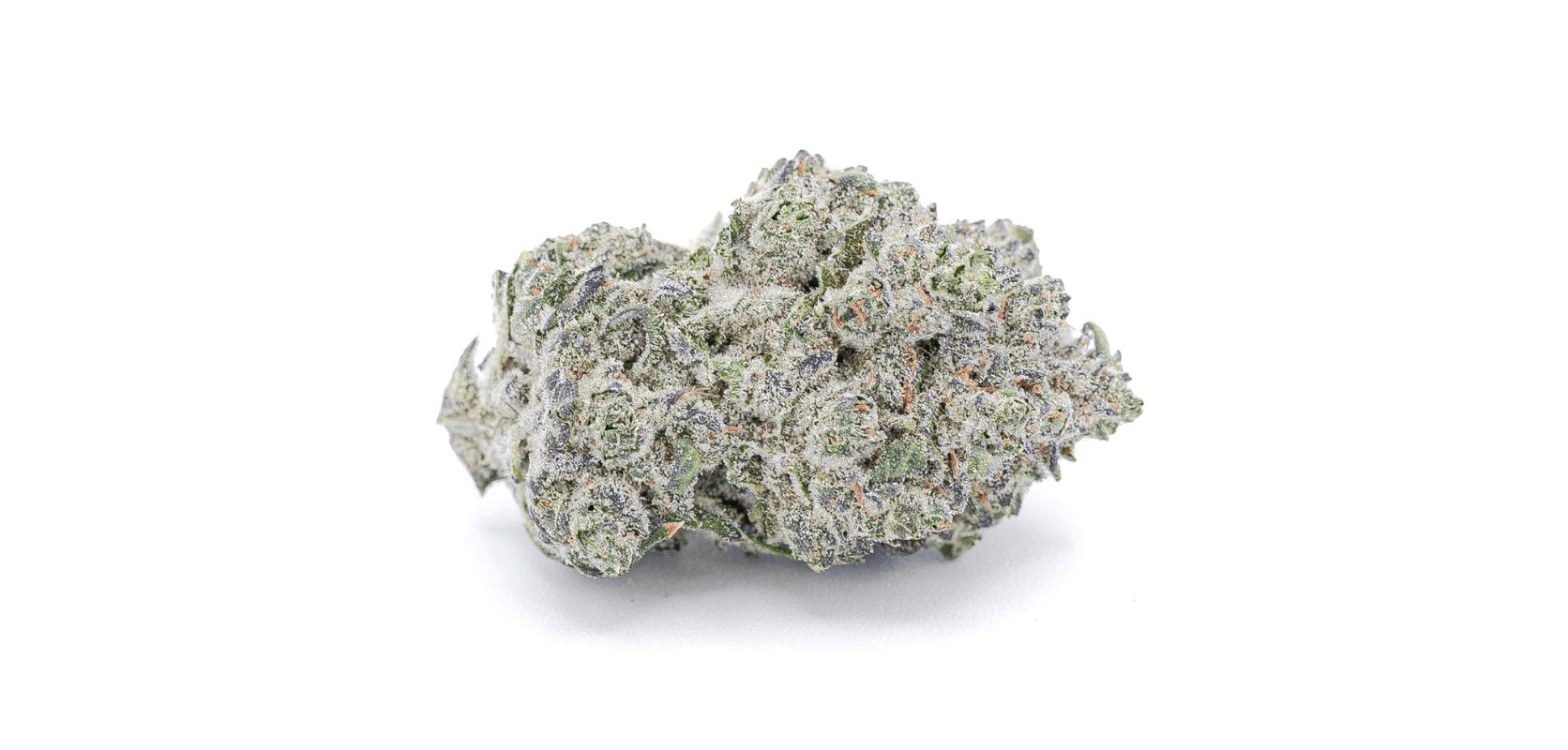 As a trusted online weed dispensary, they offer only the highest quality products with the most potent THC levels. When it comes to the Wedding Cake strain THC level, you will get only the most potent product available.