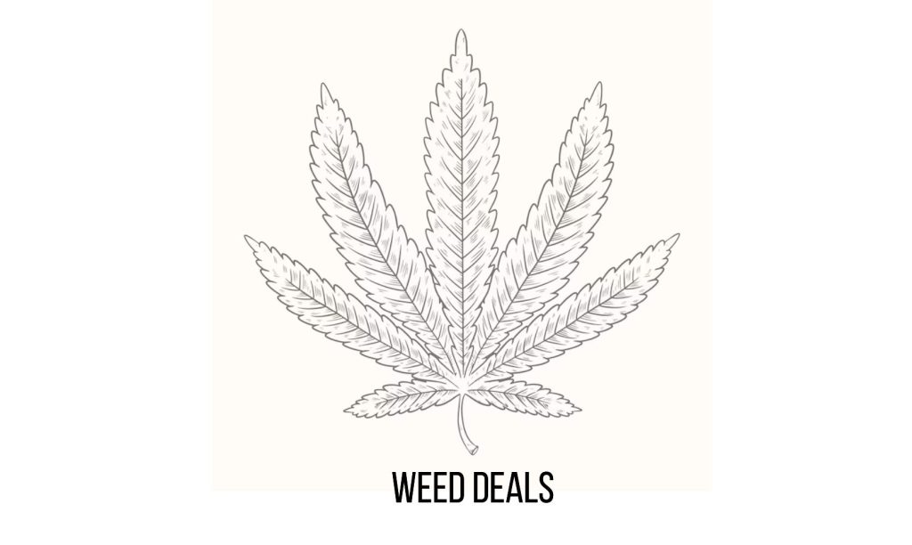 Here is a list of the top 5 weed deals you cannot afford to miss out. Check the list & choose your favourite & save big bucks on the top weed deals!