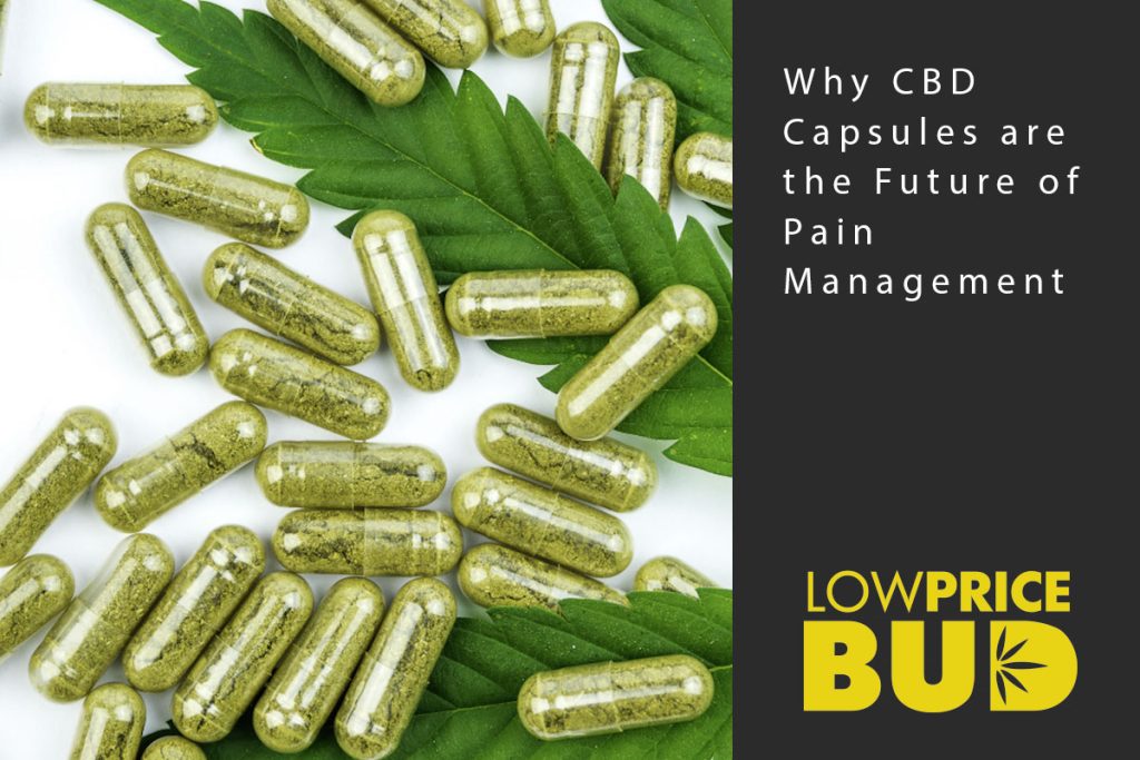 cbd capsules