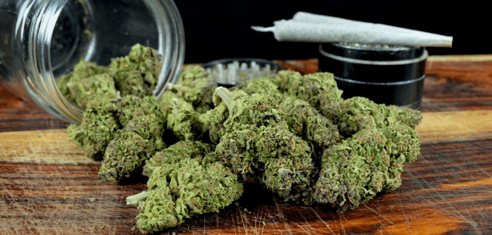 Wondering where you can get all the best weed deals in Canada? LowPriceBud is the leading online dispensary known for stocking high-quality weed at the lowest prices in the market, guaranteed. 