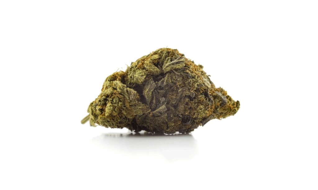 Welcome to our guide to the infamous Blue Coma strain - the internet's most comprehensive review of this sought-after Sativa.