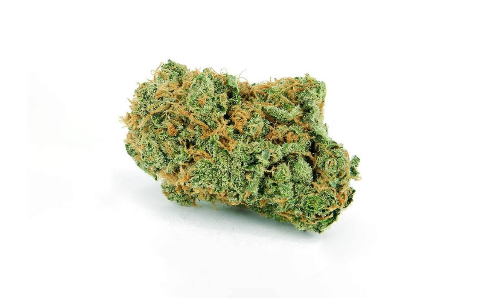 Bruce Banner Strain A Powerful Hybrid Strain With Story