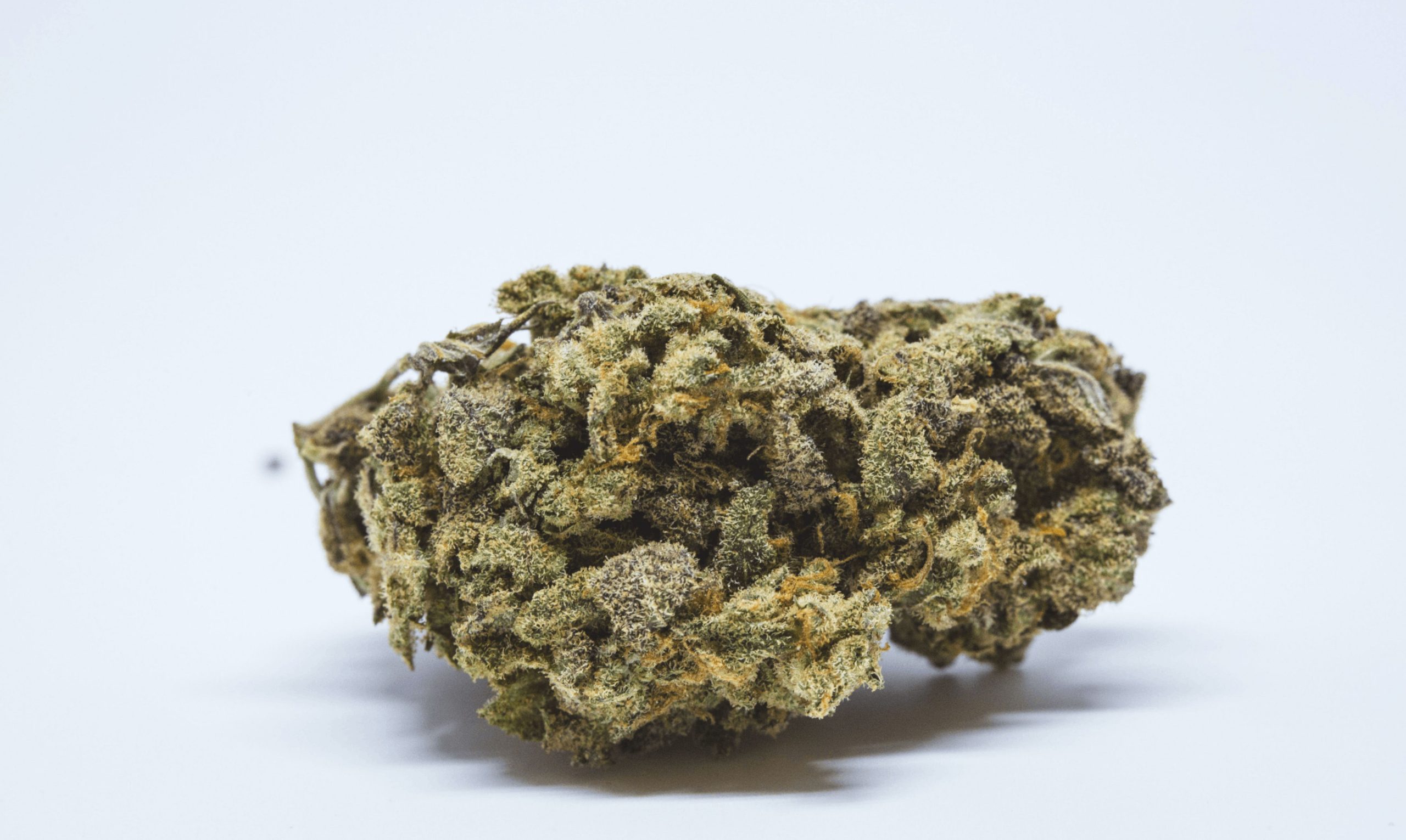 Buy the Fruity Pebbles strain & many other legendary cannabis products, straight from Low Price Bud, the best online weed dispensary in Canada.