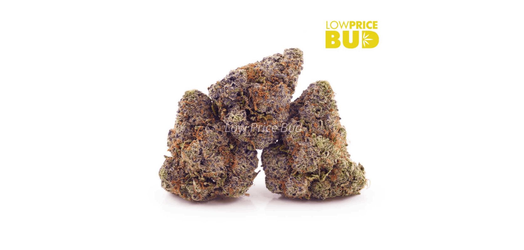 Strains of weed like Blue Cheese are a must-try for canna enthusiasts who appreciate distinctive flavours and aromas. Not to mention sedative effects! 