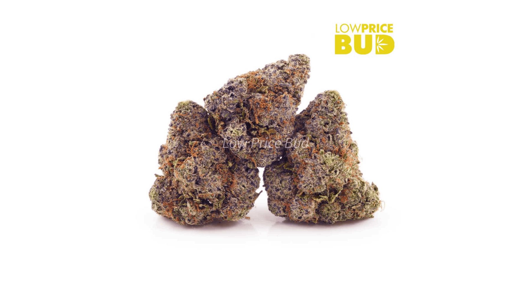 Blue Cheese, the name itself screams deliciousness! This strain is an Indica-dominant hybrid that has been a favourite among cannabis enthusiasts for years. 