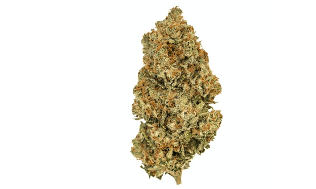 Purchase the Bruce Banner weed and try some other high-end cannabis, only at Low Price Bud, the best online dispensary in Canada.  