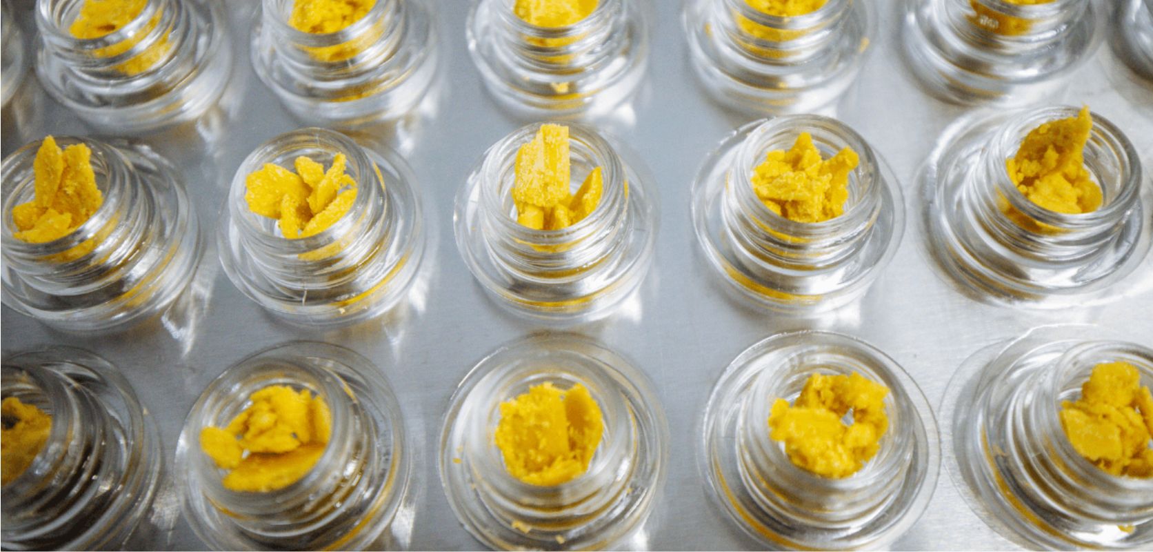 Now that you know what cannabis concentrates, including wax, shatter, and oils, are, you’re probably wondering where to buy them. 
