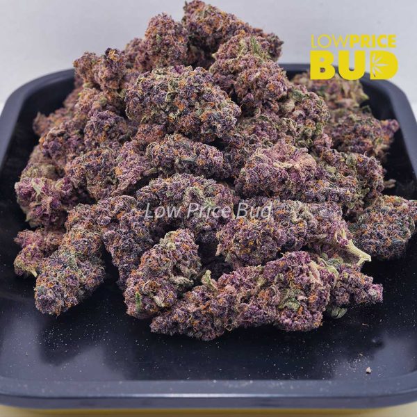 Buy Purple Urkle (AAAA) online Canada
