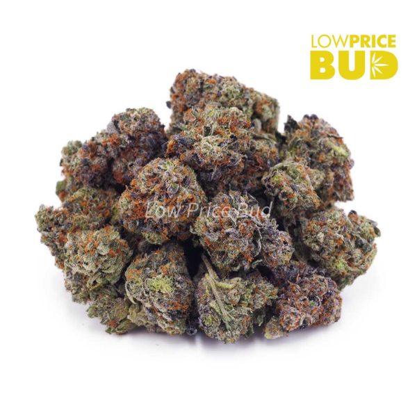 Buy Pink Ice Cream Cake (AAAA) – Popcorn Nugs online Canada