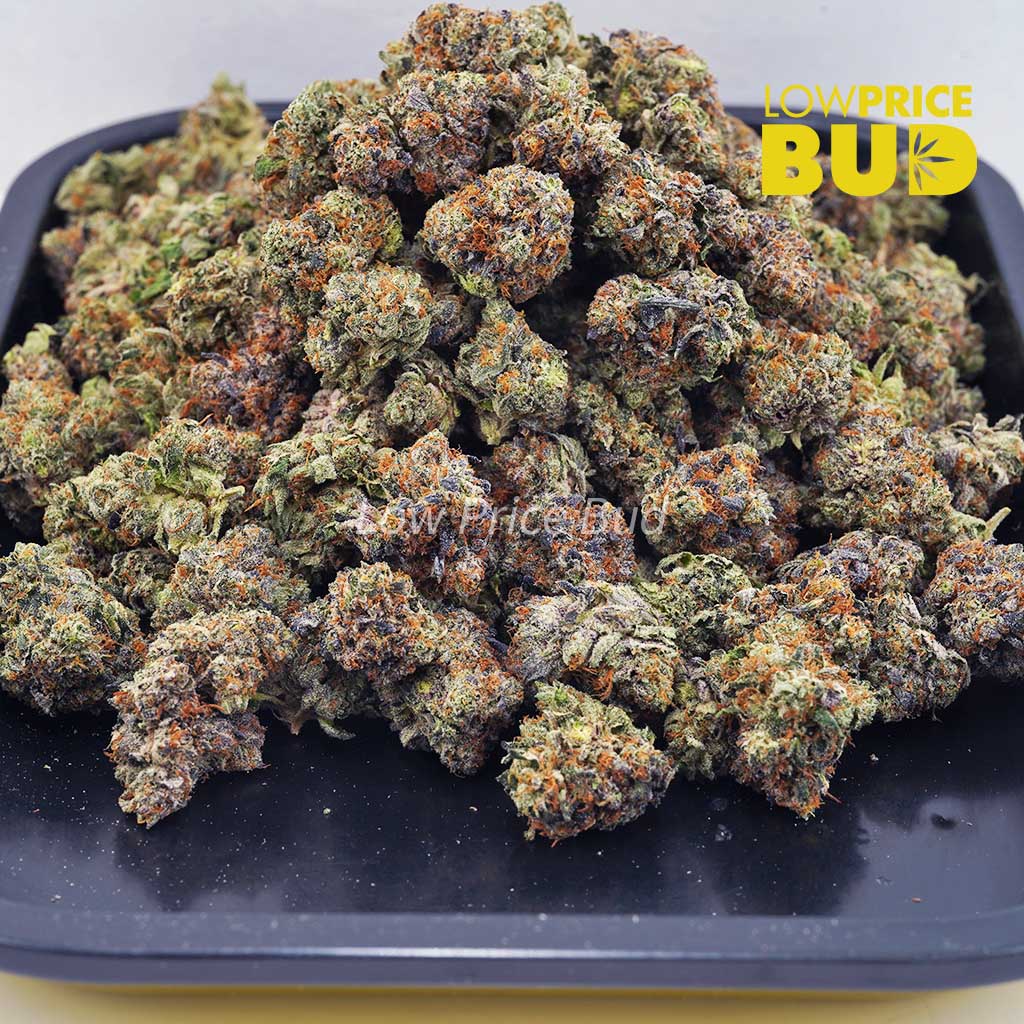 Pink Ice Cream Cake (AAAA) – Popcorn Nugs Buy Pink Ice Cream Cake (AAAA) – Popcorn Nugs online Canada