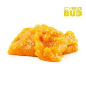 Buy Build Your Own Concentrate Oz 8 x 3.5g online Canada