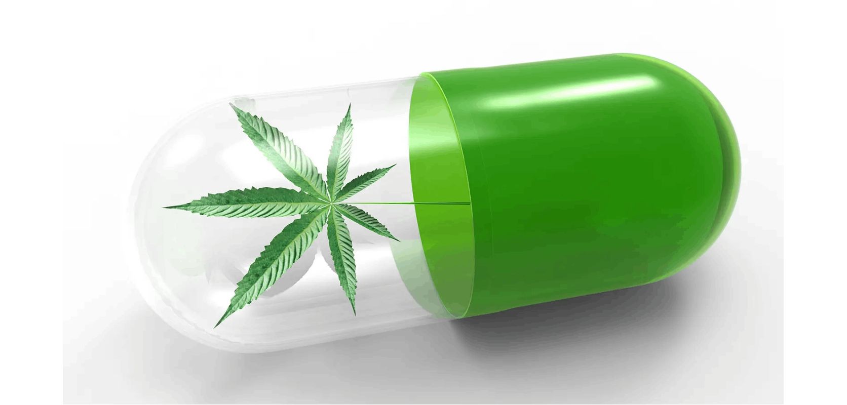 The fact that a substantial number of individuals are willing to substitute their pain medications with cannabis indicates the growing recognition of its potential benefits. 