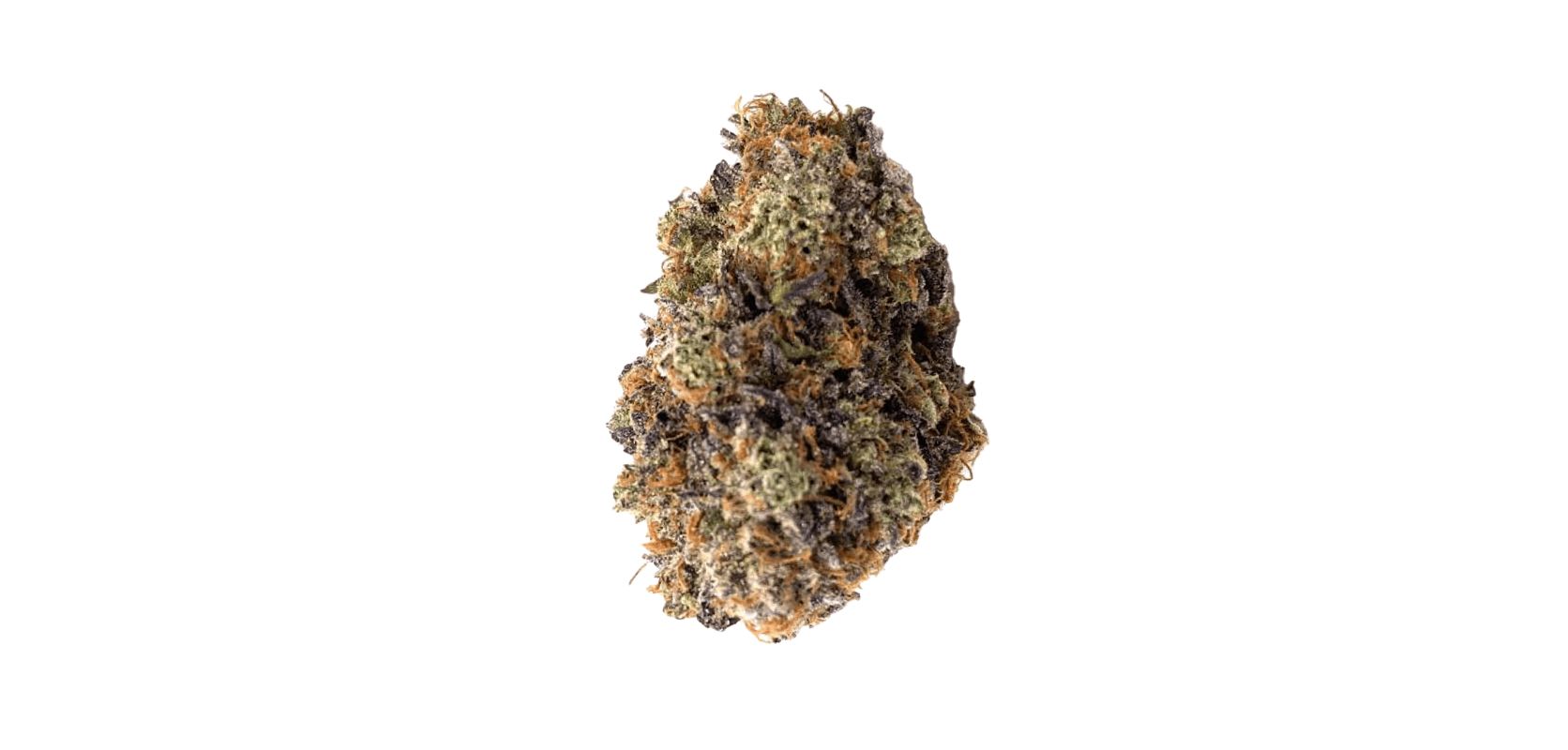 The Death Bubba weed strain is a powerhouse Indica, known for its sedative effects and heavy-hitting THC content. 