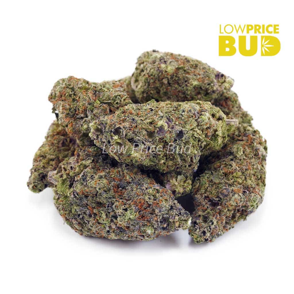 Pineapple Jack Herer (AAAA) Buy Pineapple Jack Herer (AAAA) online Canada