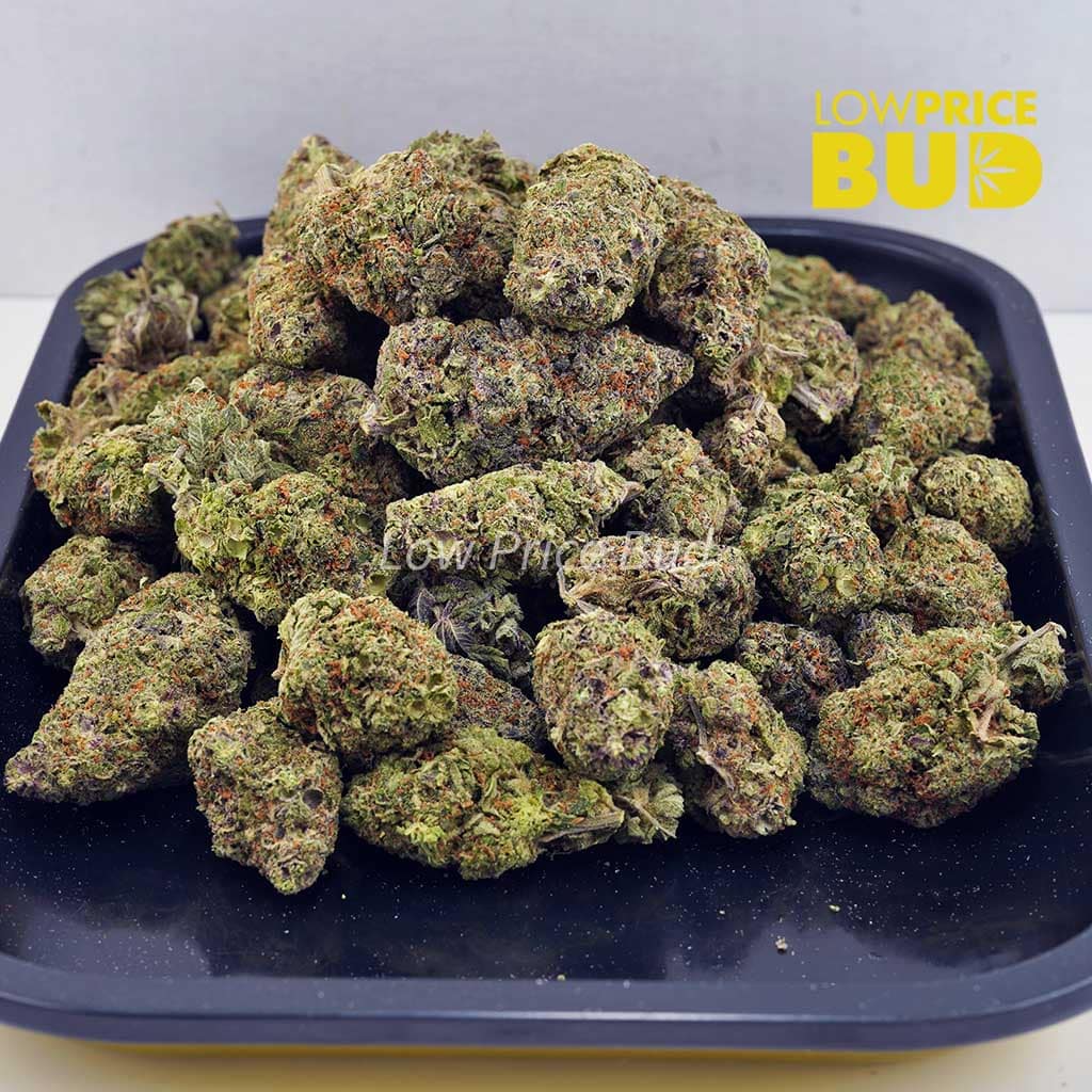 Pineapple Jack Herer (AAAA) Buy Pineapple Jack Herer (AAAA) online Canada