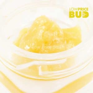 Buy Live Resin – Violator online Canada