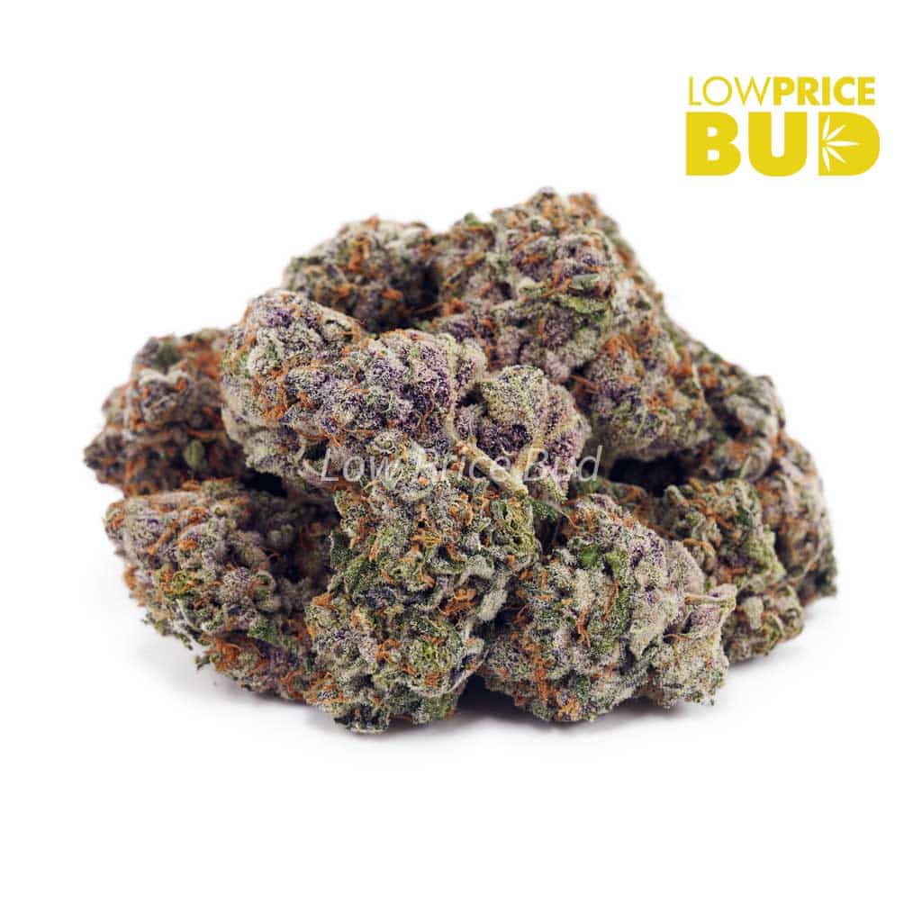 Blue Dream (AAAA) Buy Blue Dream (AAAA) online Canada