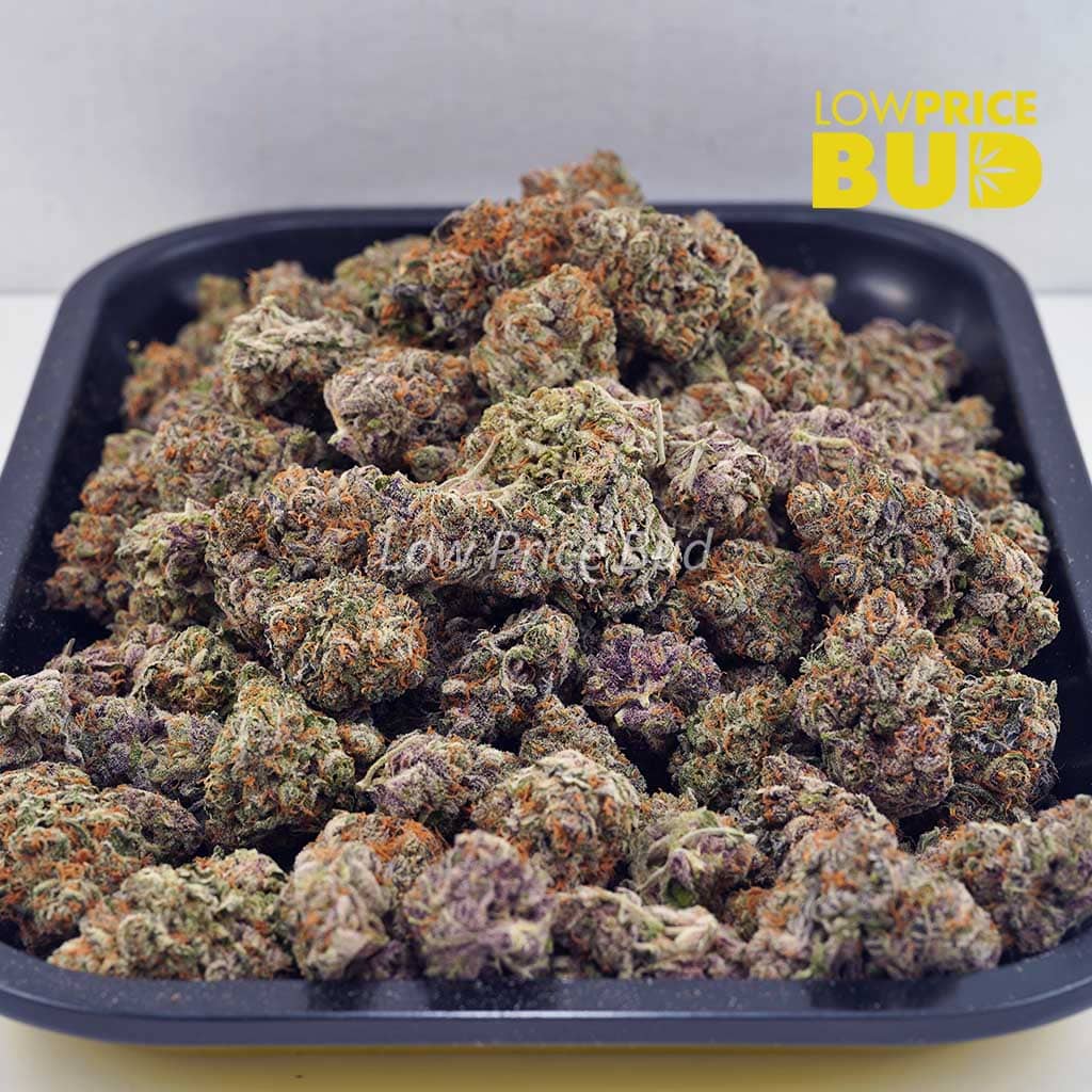 Blue Dream (AAAA) Buy Blue Dream (AAAA) online Canada