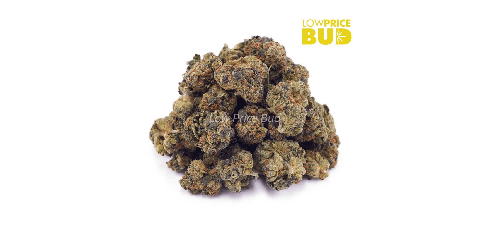Experience the delightful indulgence of Georgia Pie (AAAA) - Popcorn Nugs, a top-tier slightly Indica hybrid that will take your canna experience to new dimensions. 