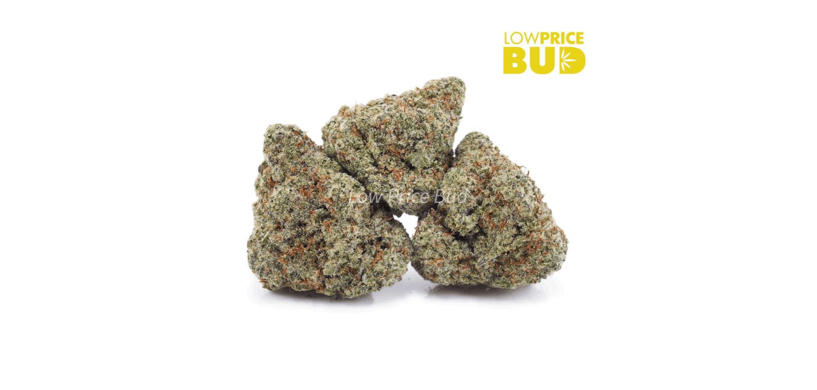 London Pound Cake is a highly sought-after Indica-dominant hybrid strain that has taken the cannabis community by storm. 
