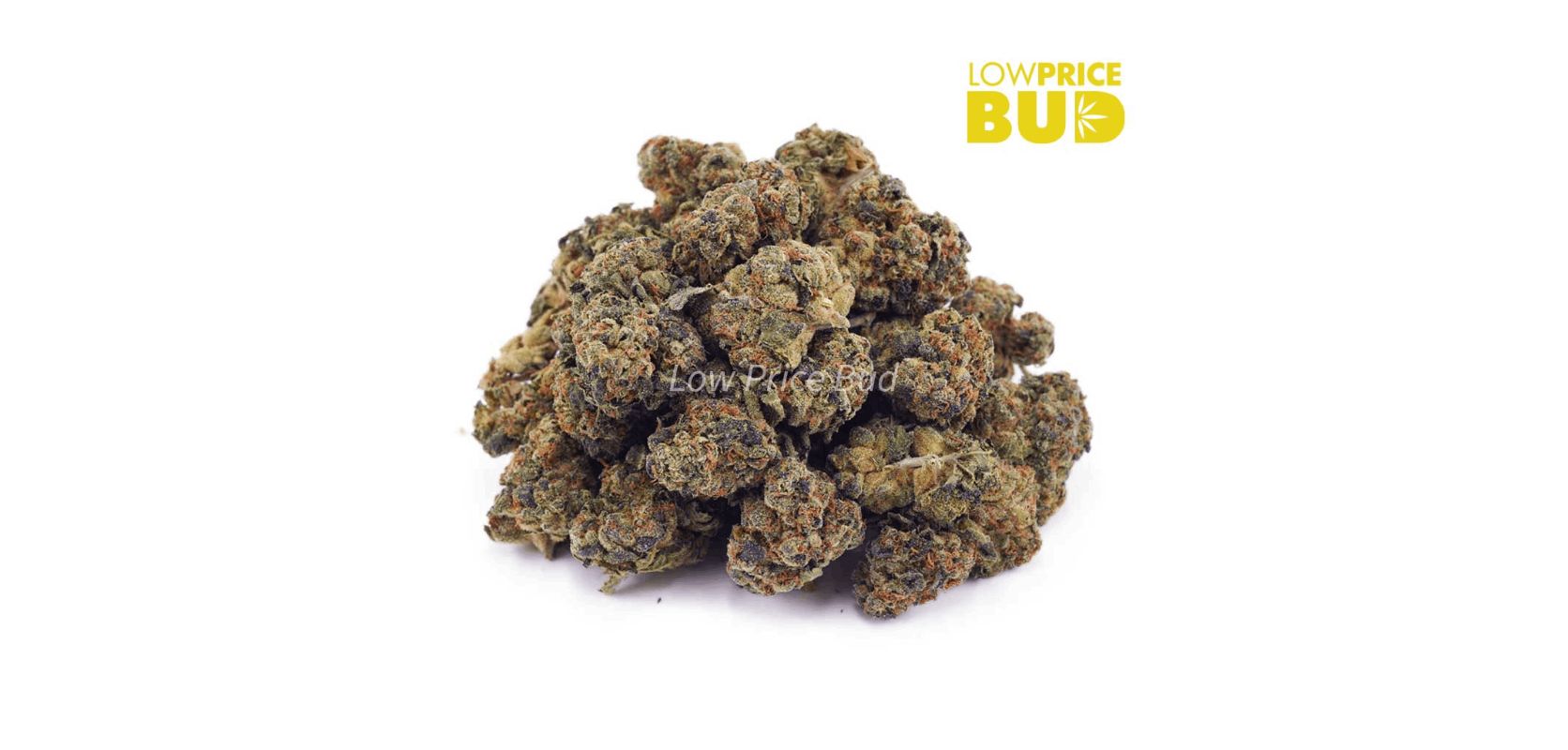 The Peach Runtz (AAAA) is a remarkable Indica-dominant strain that is not only cherished for its ability to induce deep relaxation, but also for its potential to alleviate anxiety, depression, stress, chronic pain, and appetite loss. 