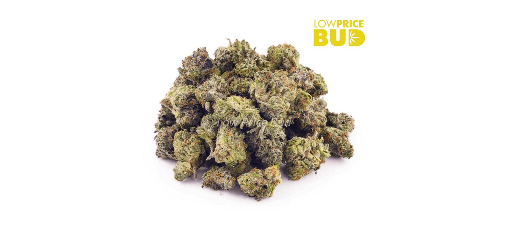The Pink Champagne (AAAA) – Popcorn Nugs is a top-rated Indica hybrid that offers unbelievable pain relief. 