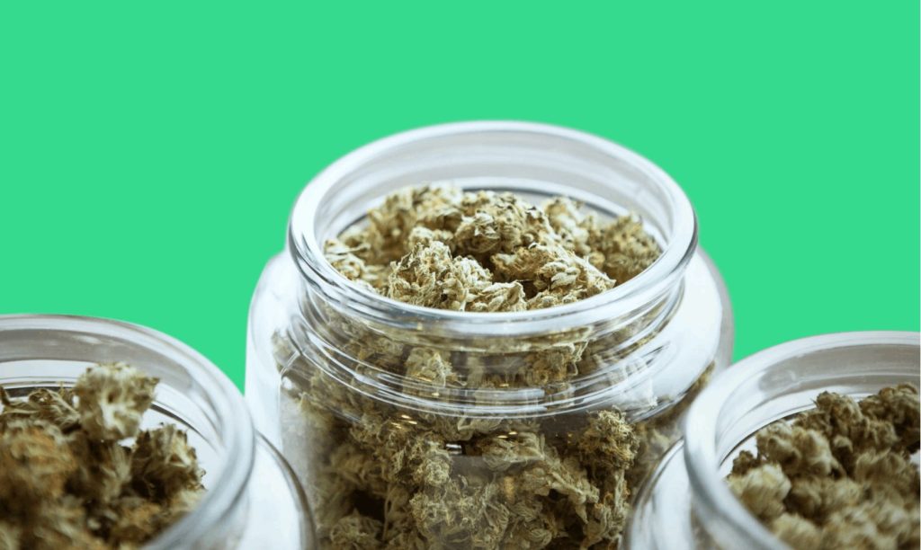 These different strains of weed will change your life forever - they'll remove all traces of stress, tension, and anxiety from your body. 