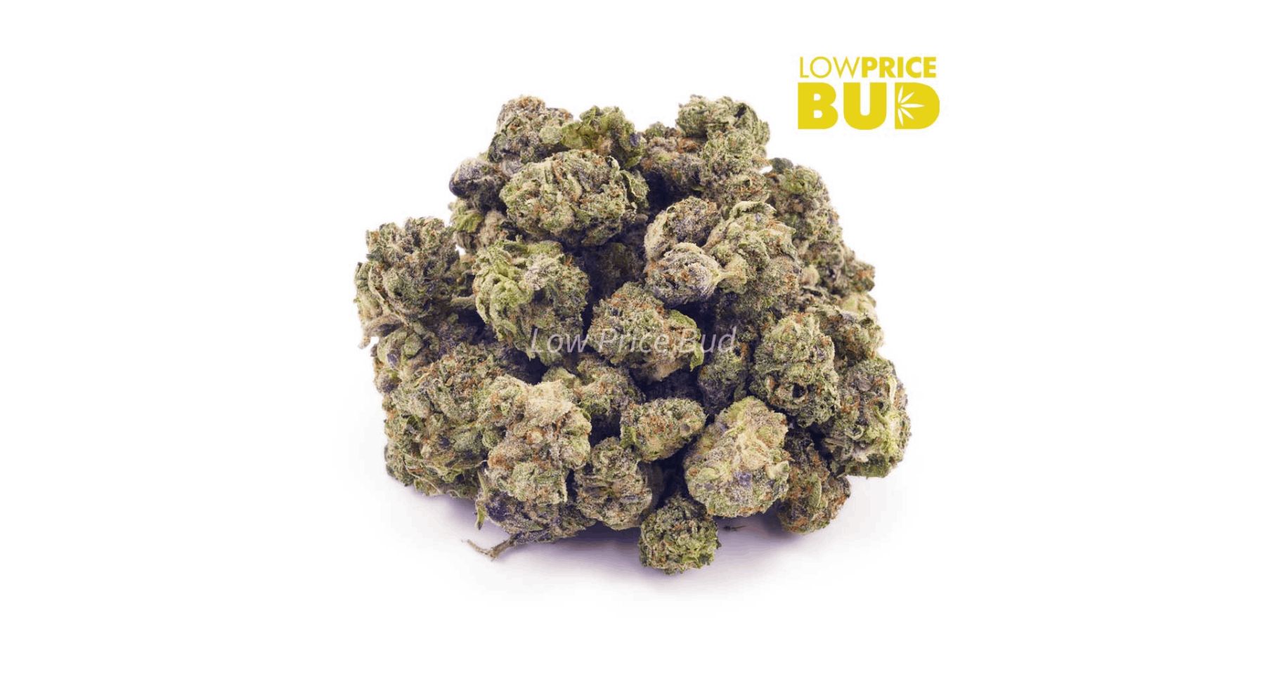 Tuna Kush is a popular choice among cannabis enthusiasts who are looking for a strain that can help them get a good night's sleep.